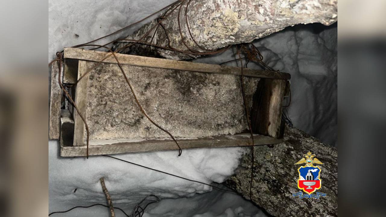 В Алтайском крае полицейские задержали браконьера, охотившегося на лосей при помощи железных тросов