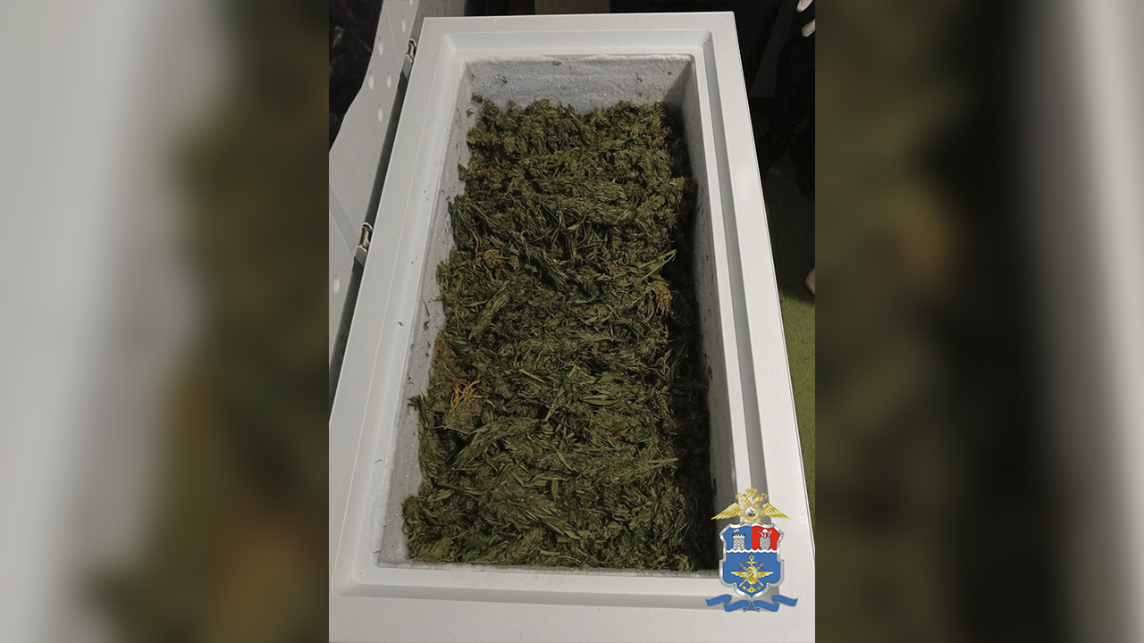 В Краснодарском крае транспортные полицейские изъяли у наркосбытчицы 21 кг марихуаны