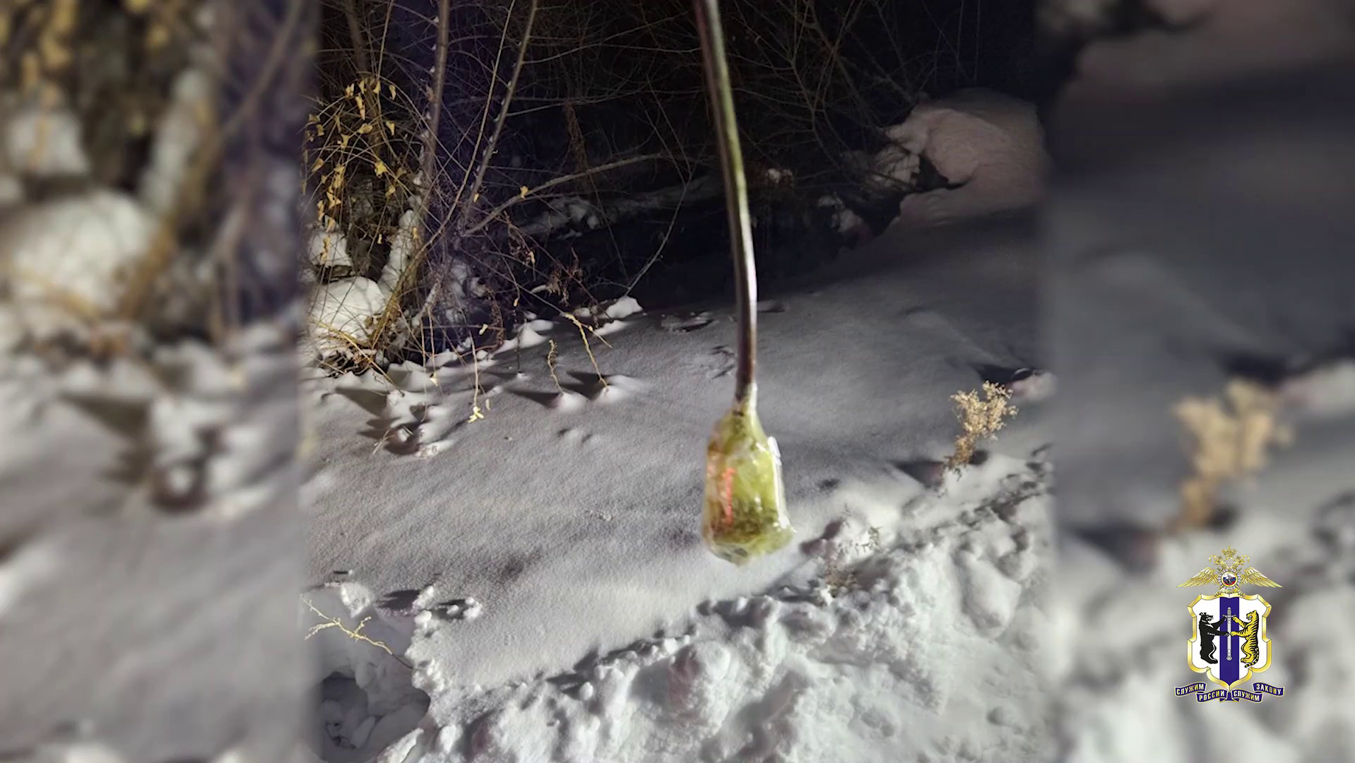 Хабаровская полиция изъяла 1,6 кг «соли» у двух сбытчиков, делавших хитроумные закладки в сугробах