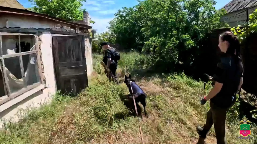 Служебная собака помогла полицейским обнаружить тайник с наркотиками