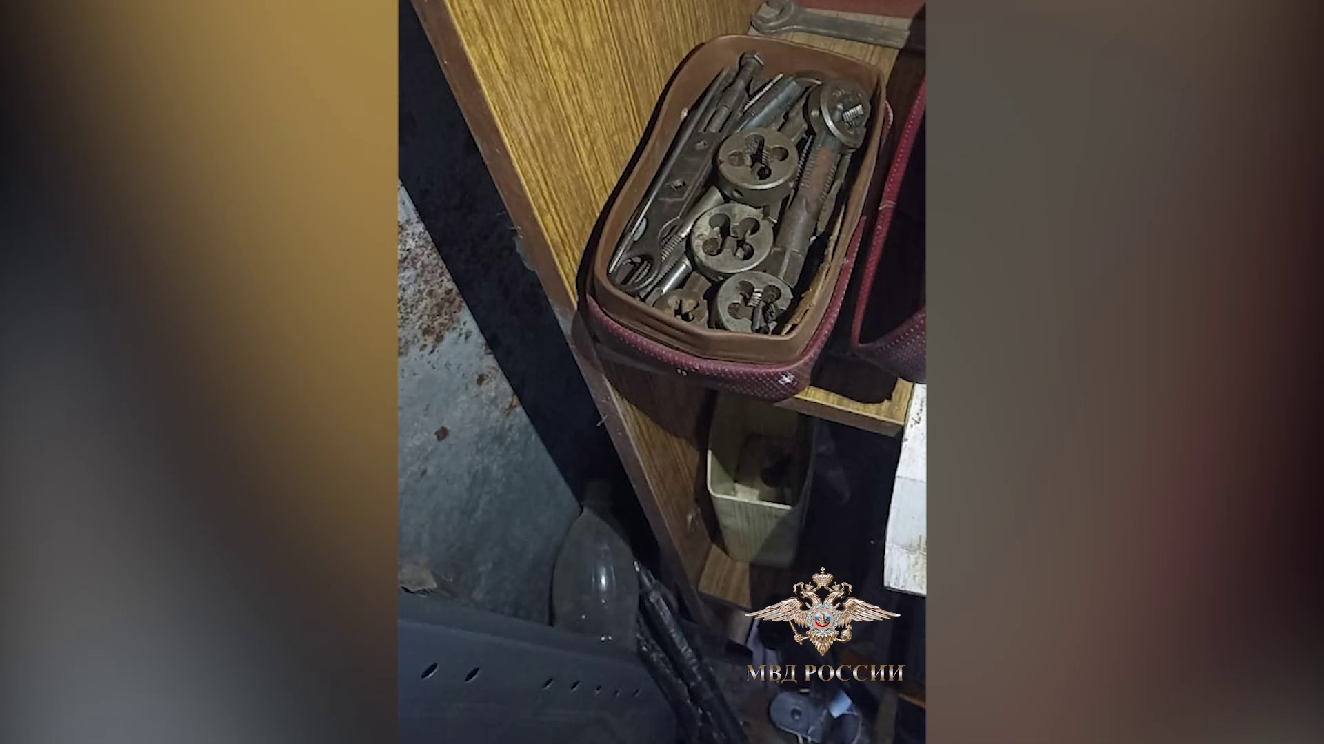 Ирина Волк: В Ставропольском крае полицейские пресекли незаконный оборот оружия и боеприпасов