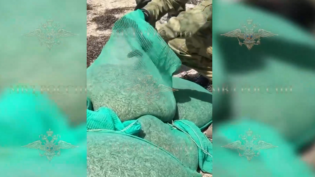 Ирина Волк: В Херсонской области полицейские задержали подозреваемых в незаконном вылове креветок