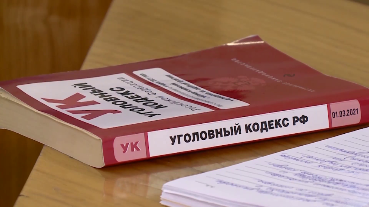 Жителю Саранска вменяется неоднократная публикация нацистских знаков в сети Интернет