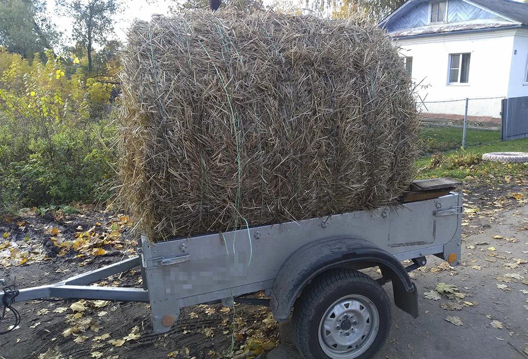 В Нижегородской области один из похитителей соломы идёт под суд, а второму назначены обязательные работы