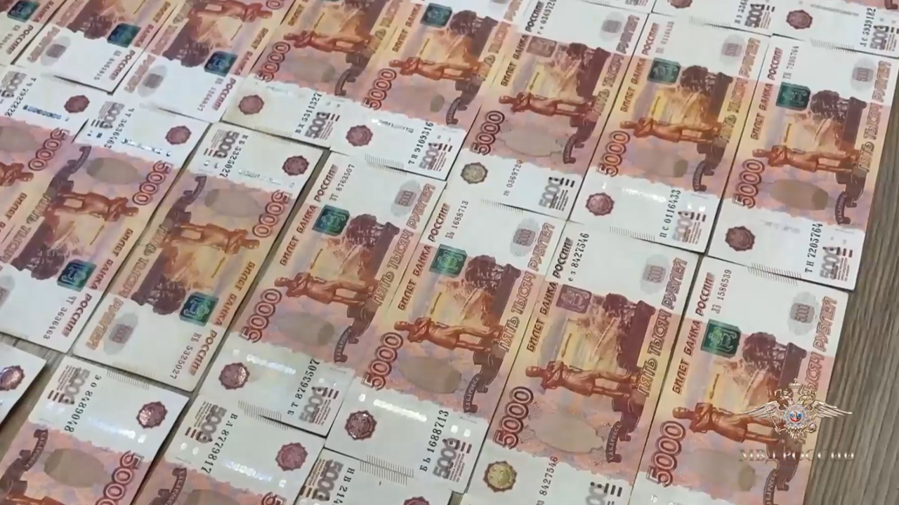 Ирина Волк: Сотрудники МВД России пресекли серию мошенничеств в отношении пожилых людей