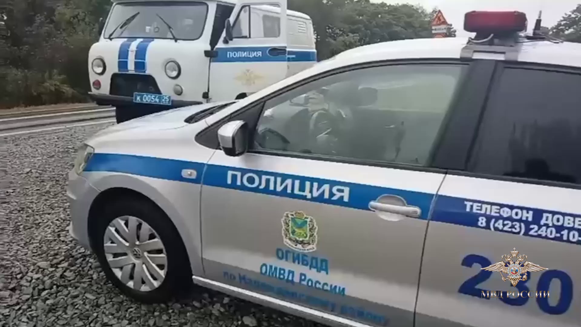 Ирина Волк: В Приморском крае возбуждено уголовное дело по факту обнаружения останков краснокнижного амурского тигра