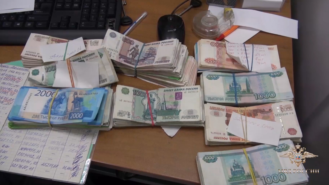 Ирина Волк: Следователями МВД России возбуждено уголовное дело об участии в преступном сообществе