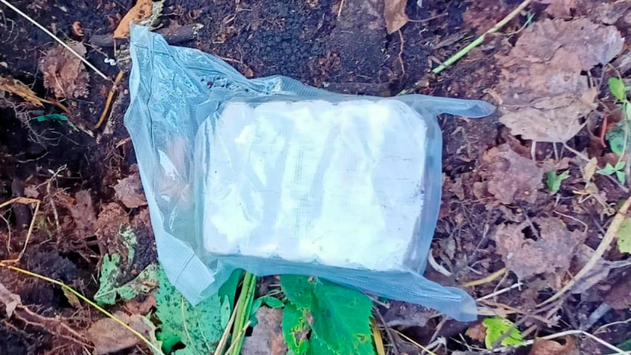 Задержанные в лесу новосибирской полицией сбытчики гашиша заявили, что копали там червей для рыбалки