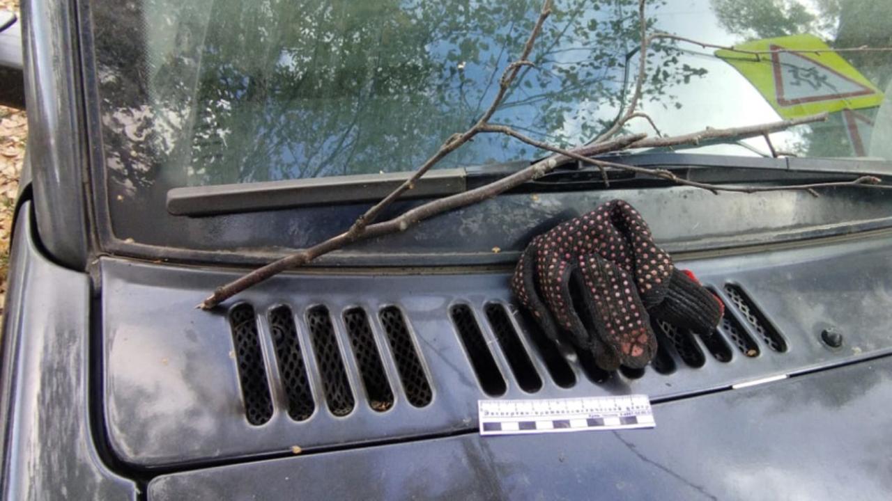 Благодаря геномной экспертизе архангельская полиция установила подозреваемого в поджогах двух машин