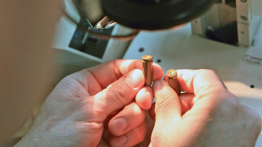 Создание единой гильзотеки пошло на пользу