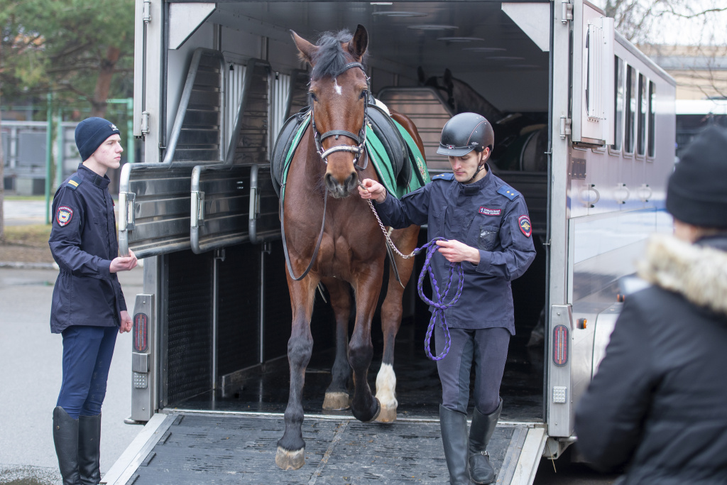 Фото: предоставлено ФКУ «ЦКО МВД России»