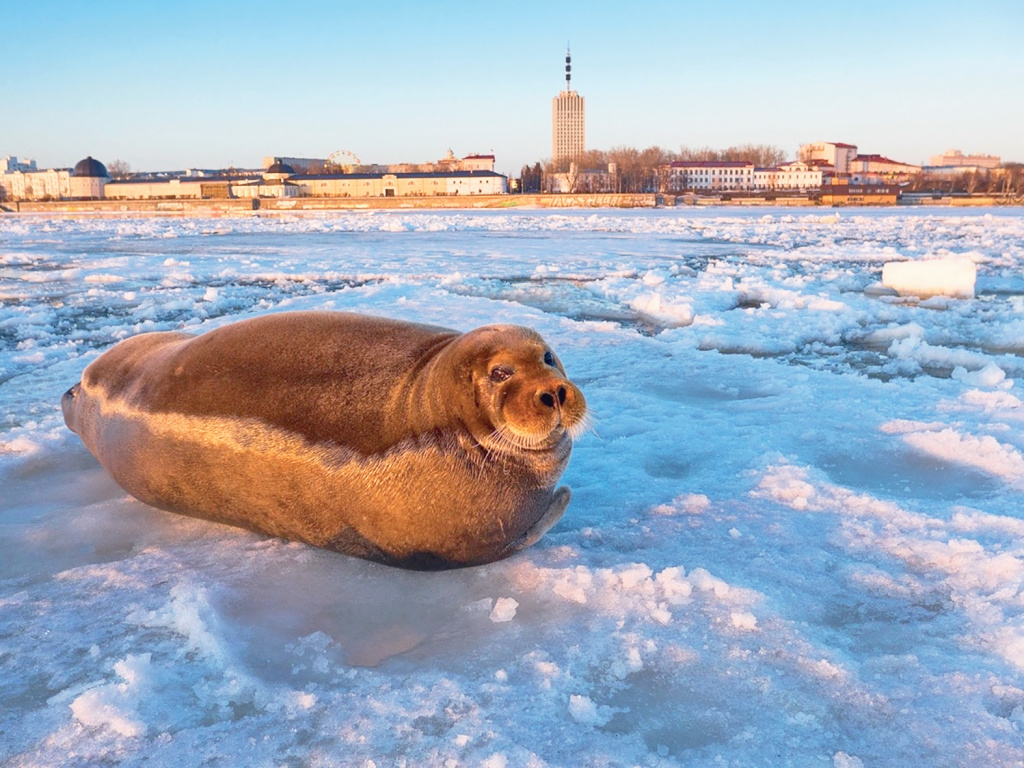 Фото: У каждого снимка своя история
