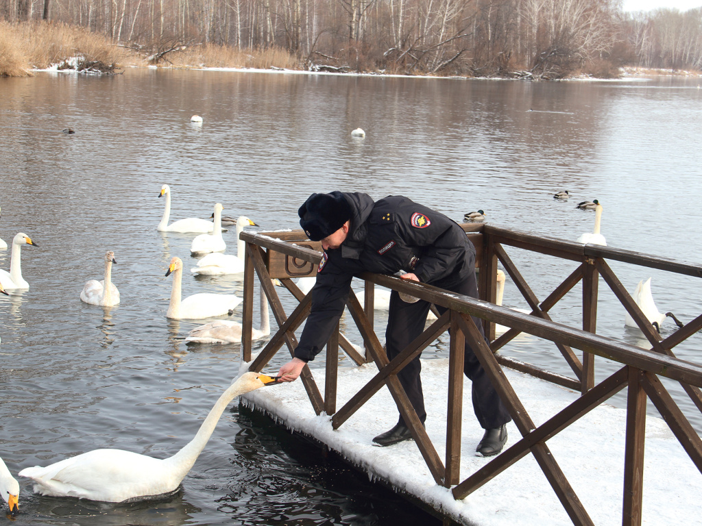 ФОТО: Многие птицы не боятся людей и едят из рук