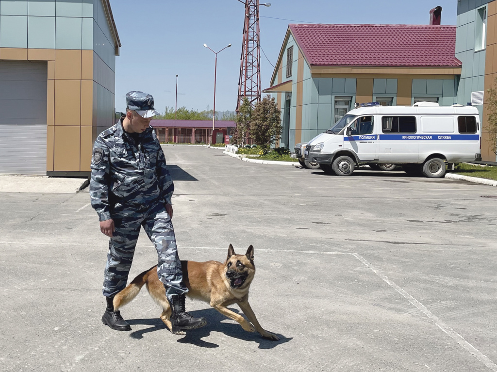 Фото: Самая большая награда для Грэма - игра