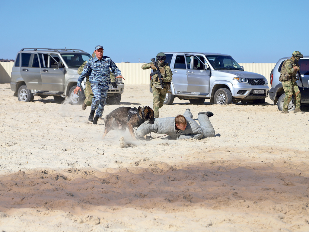 Фото: Трудно в учении...