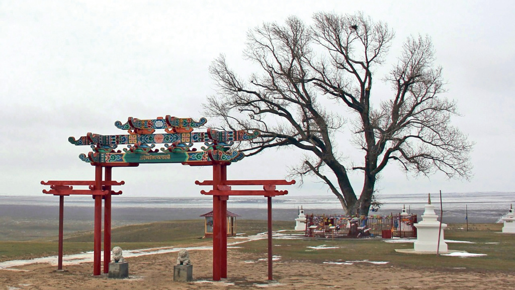 Одинокий тополь в Калмыкии