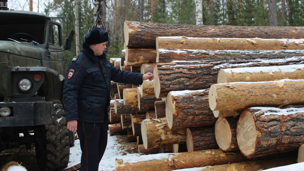 Сделать прозрачной лесную 3.jpg