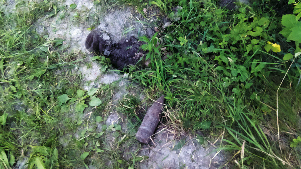 ФОТО: Олеси Лихобабиной 