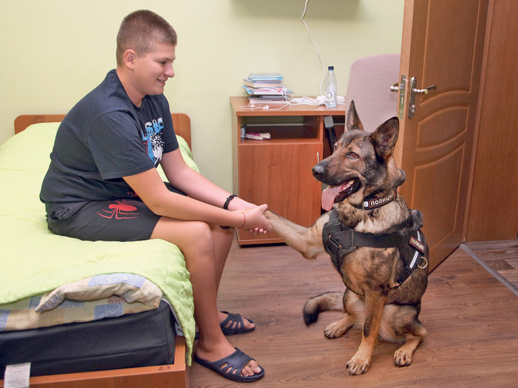 Будем знакомы