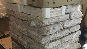 В Санкт-Петербурге пресечена деятельность контрабандистов субпродуктов домашней птицы