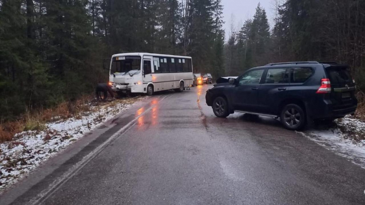 В Ленинградской области проводится проверка по факту ДТП с автобусом