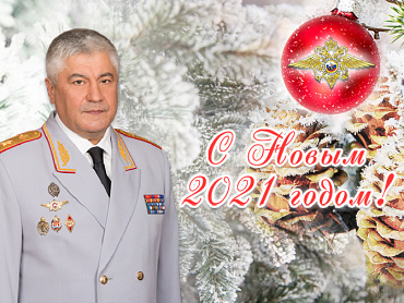 Поздравление Владимира Колокольцева с наступающим 2021 годом