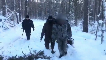 В Иркутской области возбуждено уголовное дело в отношении нелегальных лесозаготовителей