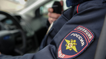 В Ивановской области направлено в суд уголовное дело «черных лесорубов»