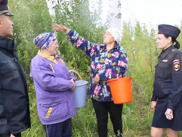 В Тюменской области спасены две женщины, заблудившиеся в лесу