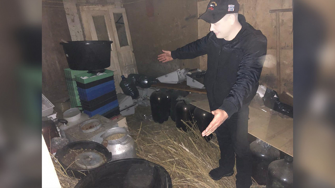 В Тамбовской области полицейские задержали владельца двух наркоплантаций