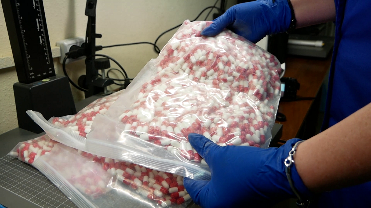 Более 150 кошек изъяли у жительницы Карачаево-Черкесии - пугающее количество животных в доме