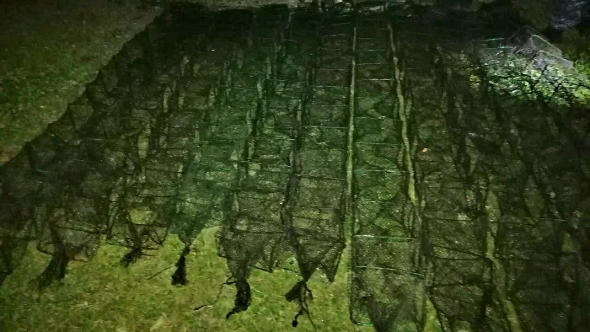 Браконьеру, выловившему более восьми сотен раков в Чувашии, судом вынесен приговор