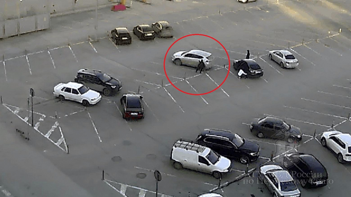 Важность помощи диким животным