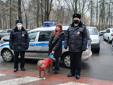 В Москве сотрудники полиции вернули пропавшего питомца хозяевам