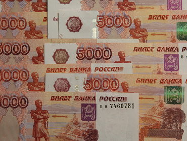 Петербургская полиция пресекла деятельность двух приезжих, подозреваемых в краже