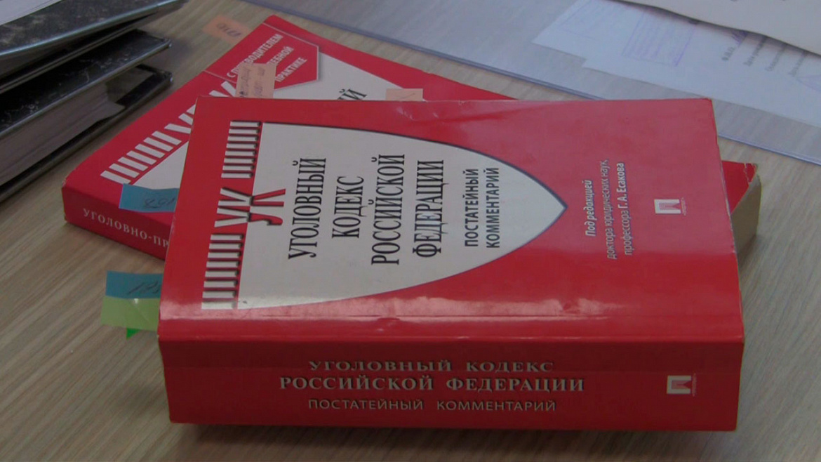 Ирина Волк: В Москве полицейские задержали подозреваемых в мошенничестве с инвестированием в стартапы